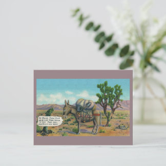 Funny Vintage Desert Postcard