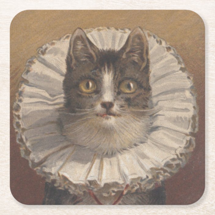 cat coaster set