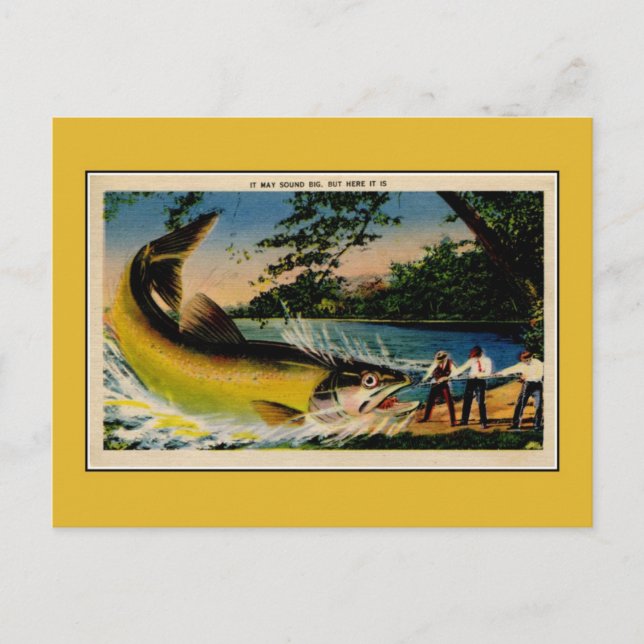 Funny vintage exaggerated fishing postcard (Front)