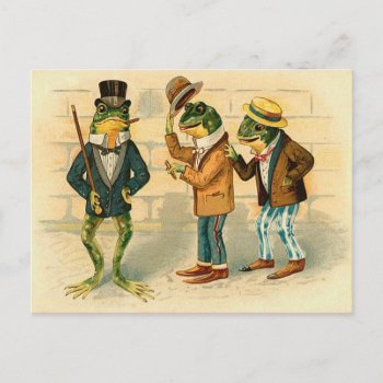 Funny Vintage Frogs Postcard by golden_oldies at Zazzle