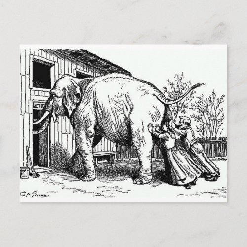 Funny Vintage _ Hopeless Wont Fit Elephant Postcard