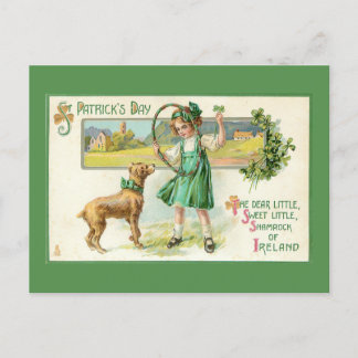 Funny Vintage Ireland St. Patrick's Day Holiday Postcard