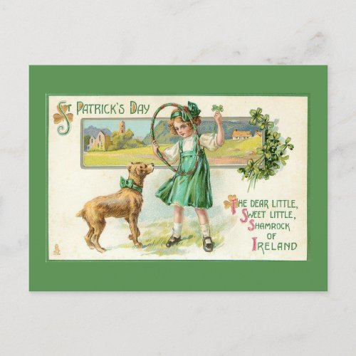 Funny Vintage Ireland St Patricks Day Holiday Postcard