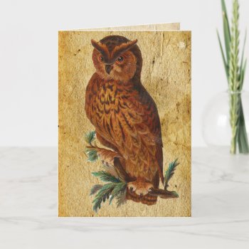 Funny Vintage Owl Birthday Card by golden_oldies at Zazzle
