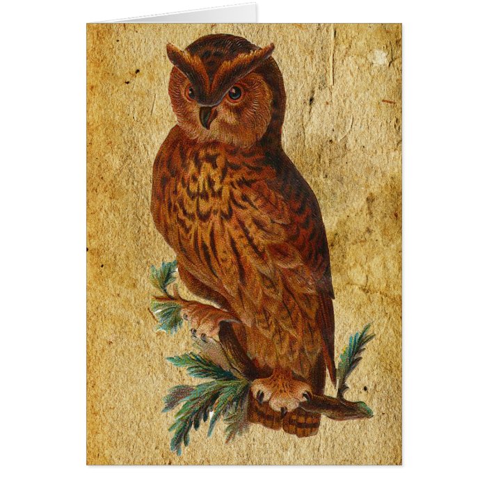 Funny Vintage Owl Birthday Card