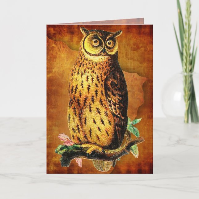 Funny Vintage Owl Birthday Card (Front)