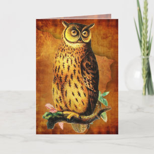 Funny Vintage Owl Birthday Card