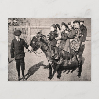 Funny Vintage Portrait Children Donkey Balancing Postcard