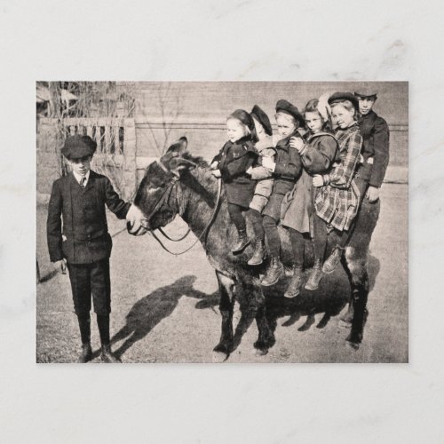 Funny Vintage Portrait Children Donkey Balancing Postcard