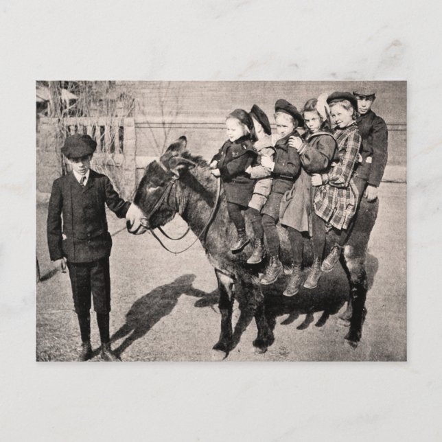 Funny Vintage Portrait Children Donkey Balancing Postcard (Front)