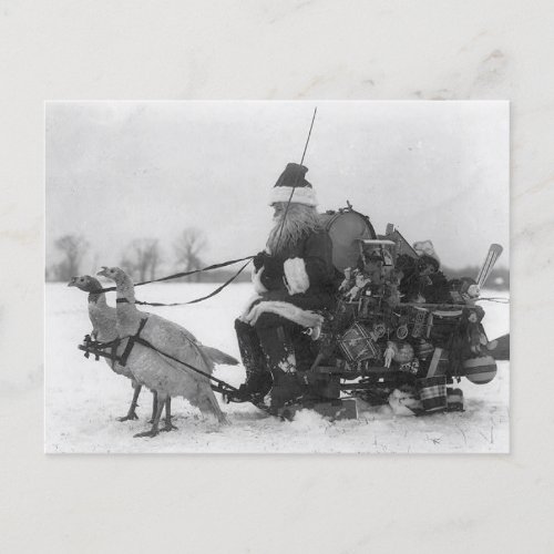 Funny Vintage Santa Turkey Sleigh Postcard