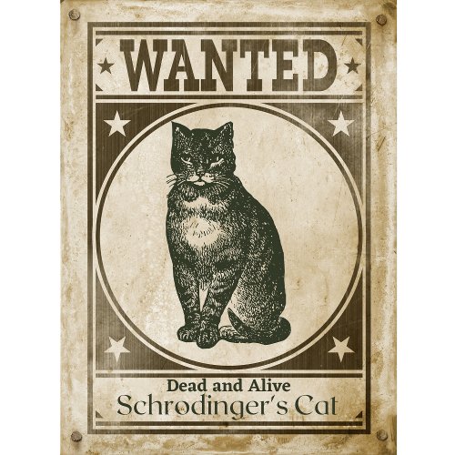 Funny Vintage Schrodingers Cat Wanted Poster T_Shirt