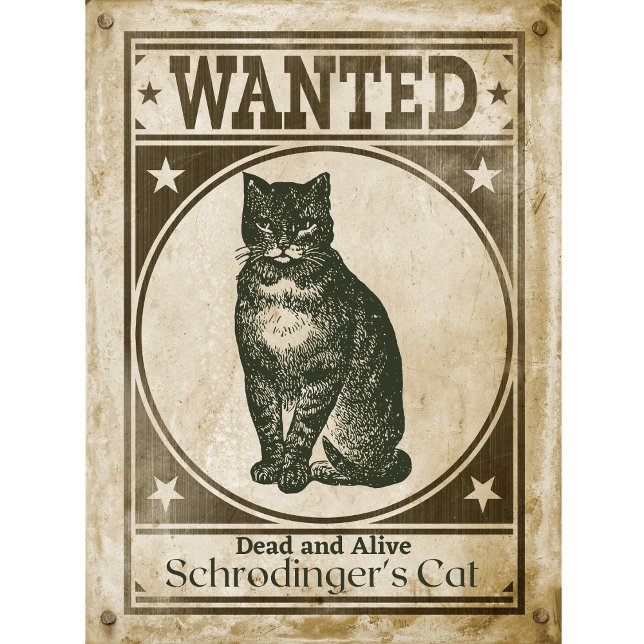 Funny Vintage Schrodinger's Cat Wanted Poster T-Shirt (Creator Uploaded)