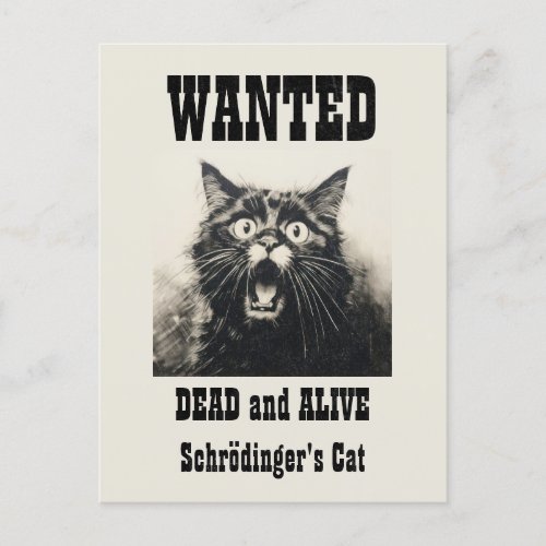 Funny Vintage Wanted Poster Schrdingers Cat Postcard