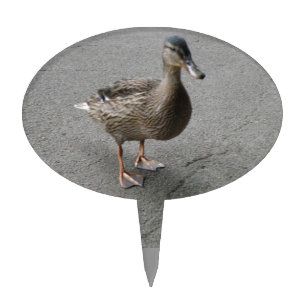 Funny Waddling Duck Cake Pick