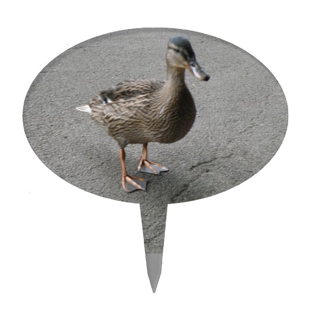 Funny Waddling Duck Cake Pick (Front)