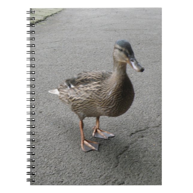 Funny Waddling Duck Notebook (Front)