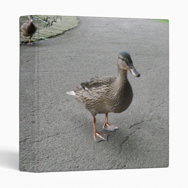 Funny Waddling Duck Photograph Album 3 Ring Binder (Front/Spine)