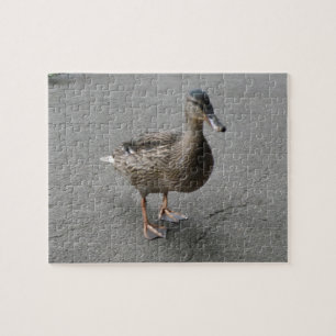 Funny Waddling Duck Puzzle