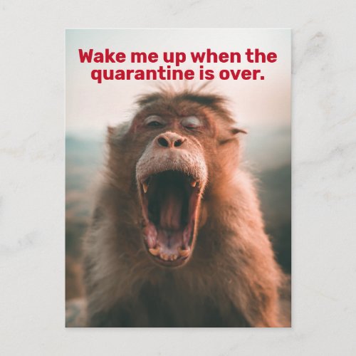 Funny Wake Me Up When The Quarantine Is Over Postcard