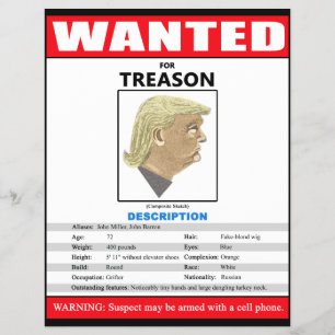 Funny Wanted Trump For Treason Flyer