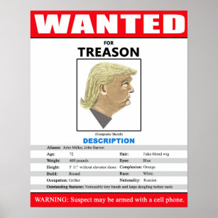 Funny Wanted Trump For Treason Poster