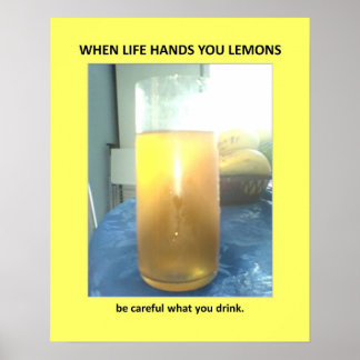 Funny Warning Veiled Bathroom Humor Poster