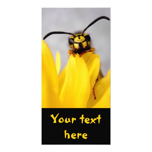 Funny Wasp Card (Front)