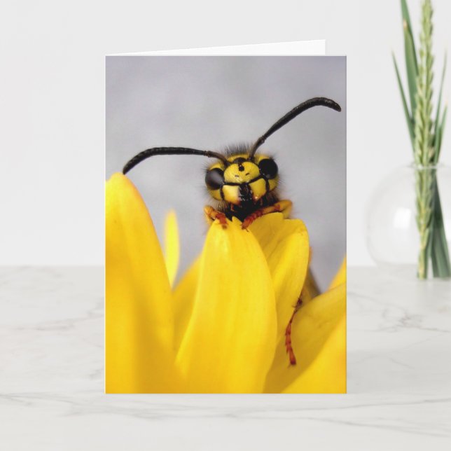Funny Wasp Greeting Card (Front)