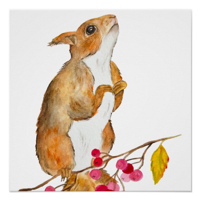 Funny watercolor squirrel on a branch with berries poster (Front)