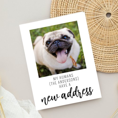 Funny We have Moved New Address Dog Pet Photo Postcard