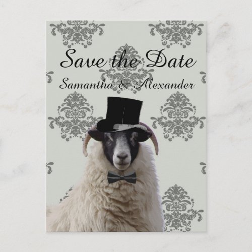 Funny wedding groom sheep  save the date announcement postcard