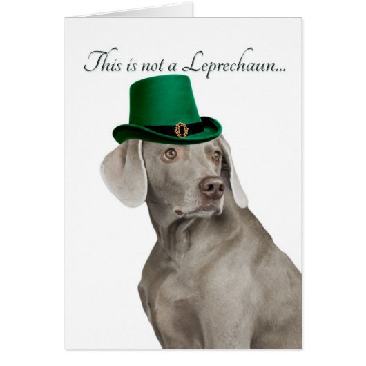 Funny Weimaraner Leprechaun Card (Front)