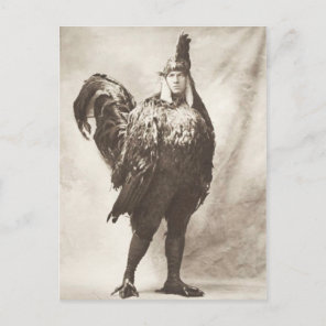 Funny Weird Vintage Photograph of Chicken Costume Postcard