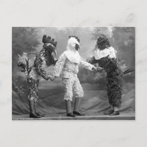 Funny Weird Vintage Photograph of Chicken Costumes Postcard