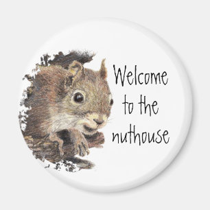 Funny, Welcome to the Nuthouse, Squirrel, Animal Magnet