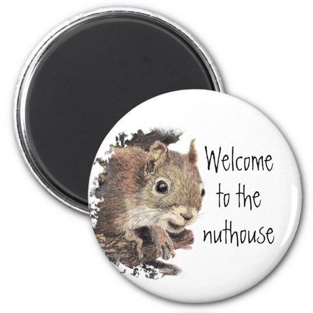 Funny Squirrel Magnet Welcome to the Nut House Humorous FRIDGE MAGNET JUMBO SIZE 