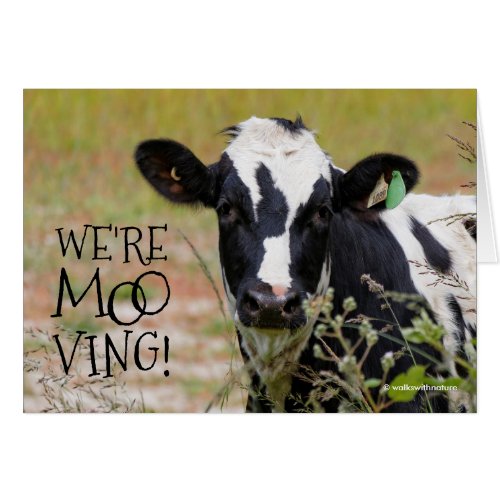 Funny Were Moo_ving Moving Announcement Cow
