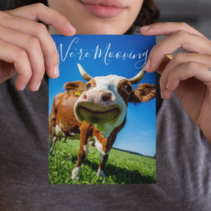 Funny We're Mooving Moving Announcement Cow Postcard