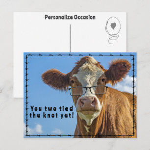 Funny Western Cow Marriage Joke Ranch & Farm Style Holiday Postcard