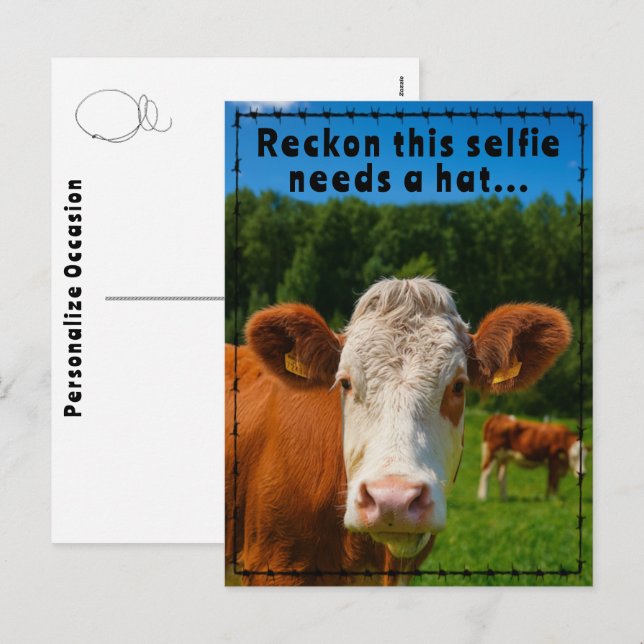 Funny Western Cow Selfie Joke Ranch & Farm Style Holiday Postcard (Front/Back)