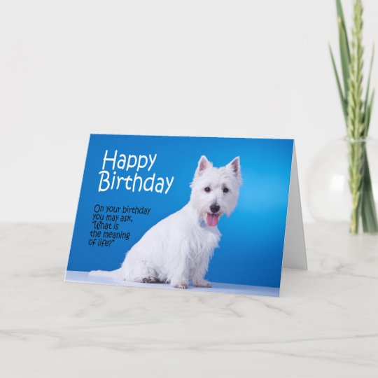 Funny Westie Birthday Card | Zazzle.com