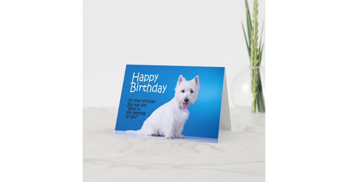 Funny Westie Birthday Card | Zazzle