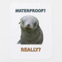 Funny Wet Seal Pup