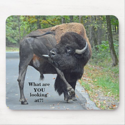 Funny What Are You Looking At Bull Bison Mouse Pad