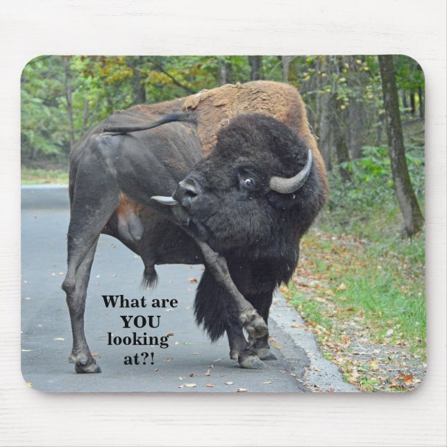 Funny What Are You Looking At? Bull Bison Mouse Pad (Front)