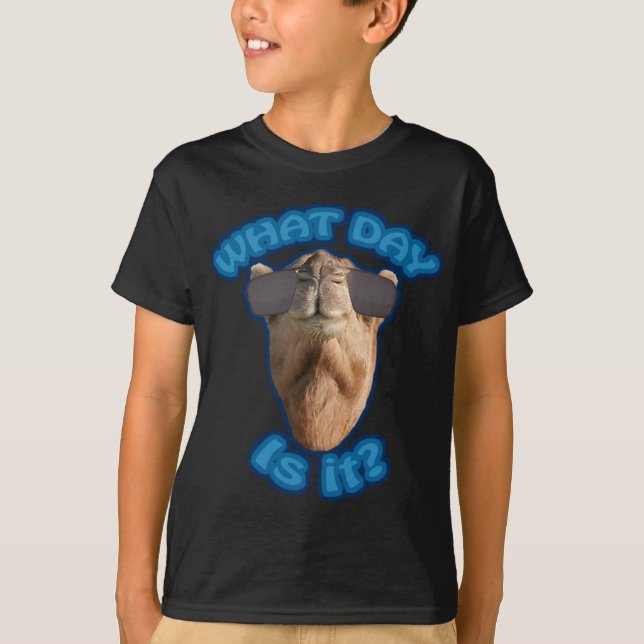 Funny "What Day is it?" Humpday T-Shirt (Front)