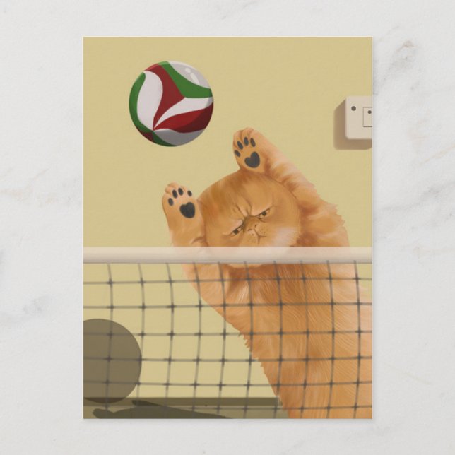 Funny Whimsical playful Cat: Volleyball Postcard (Front)
