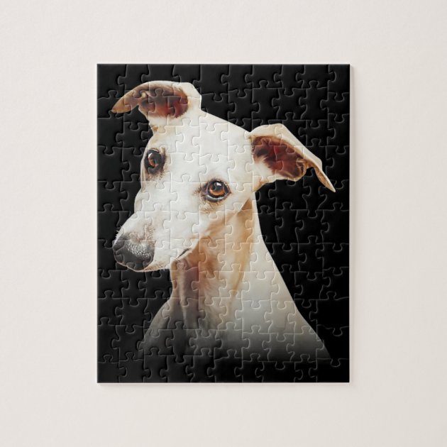 Whippet puzzle shop