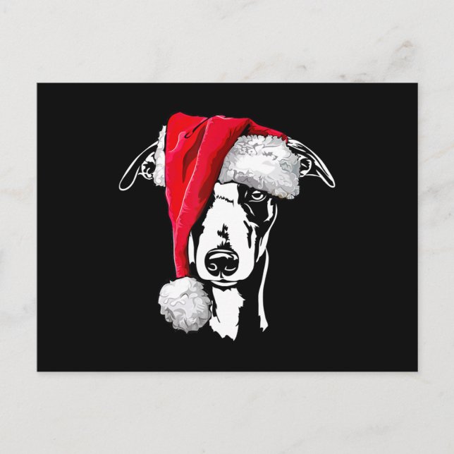 funny whippet santa christmas dog mom gift present announcement postcard (Front)